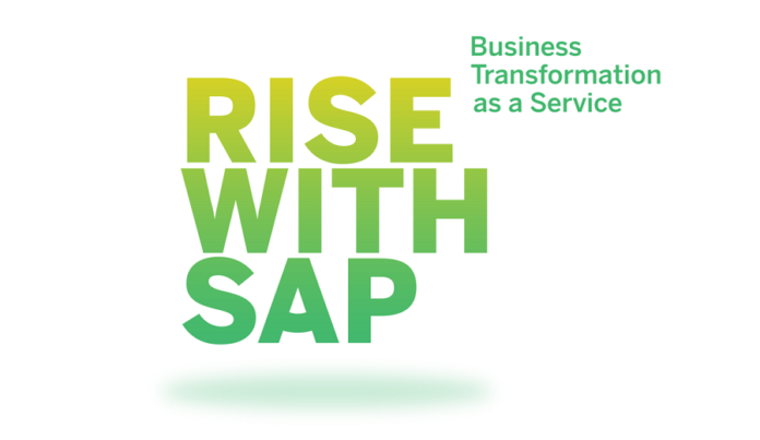 Rise with SAP Nedir logo2